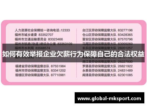 如何有效举报企业欠薪行为保障自己的合法权益
