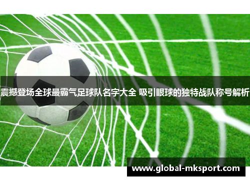 震撼登场全球最霸气足球队名字大全 吸引眼球的独特战队称号解析