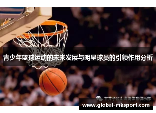 青少年篮球运动的未来发展与明星球员的引领作用分析